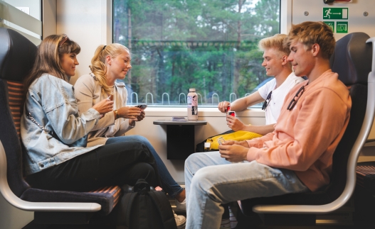 Reisiseltskond Elroni rongis